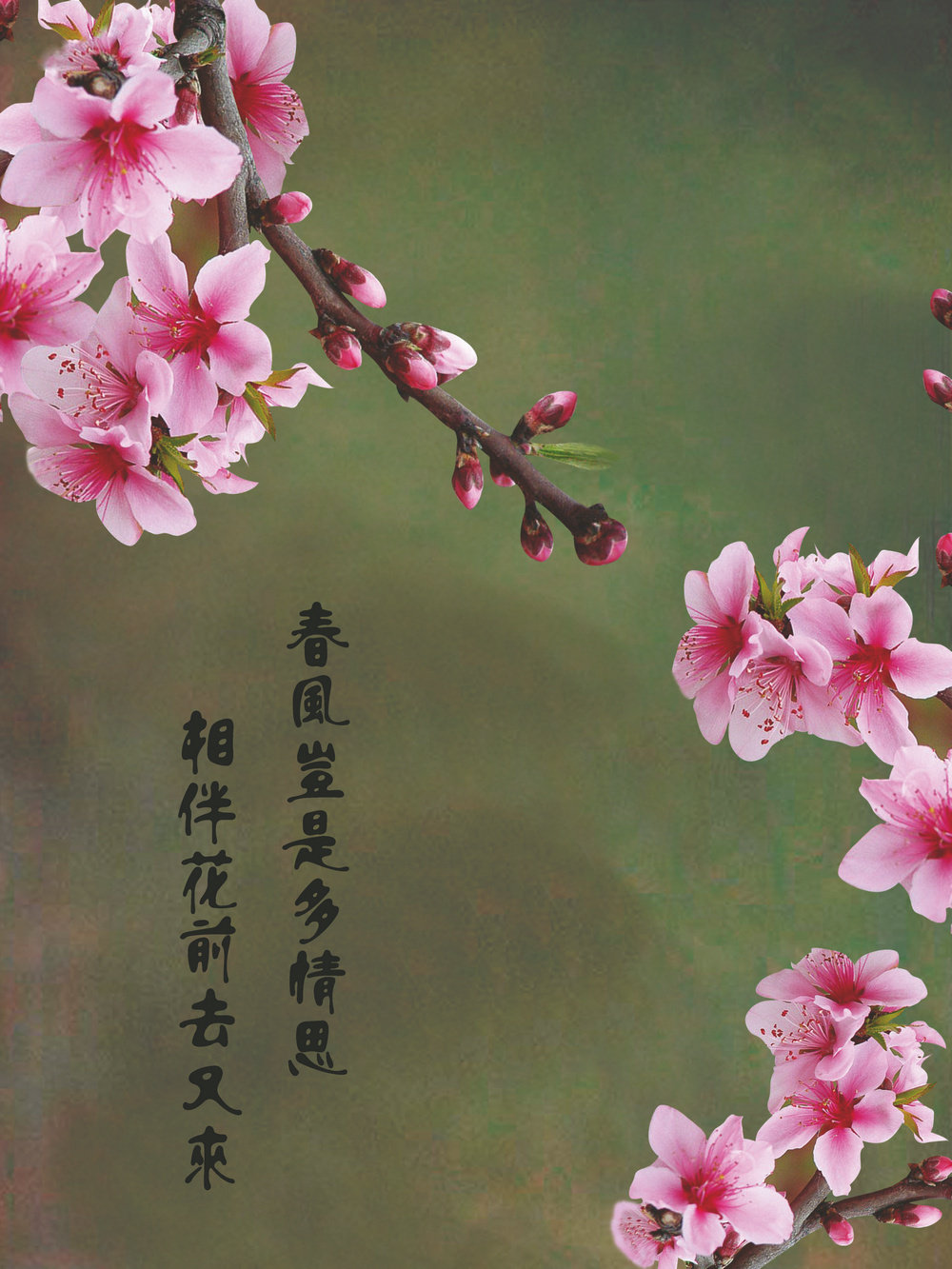 ������ҵ��þ���Ͻ�ֻ���������sg821