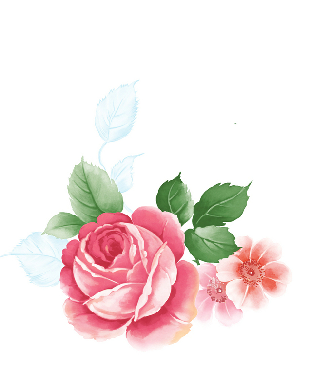 ������ҵ��þ���Ͻ�ֻ�������ӡд����������sg022