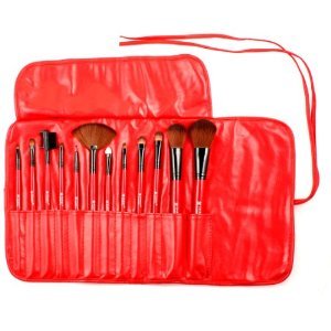 (US) Professional Shany Professional Makeup Brush Set