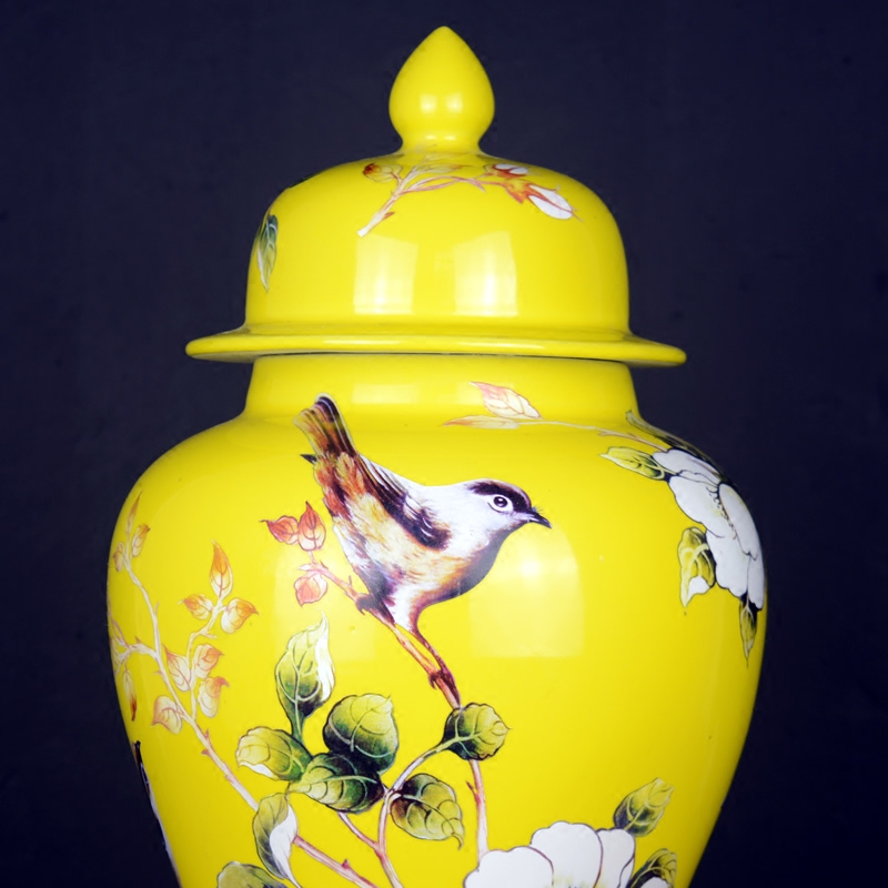 Jingdezhen porcelain pot vase flower arrangement sitting room of large storage tank wine household soft adornment is placed between the example