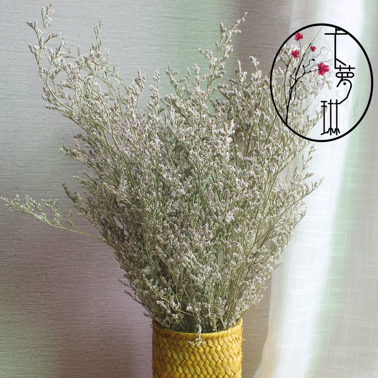 Caroline Natural Drying Flowers Home Decor Flower Arranging Art Drying Flowers Hay Lover Grass Gypsophila