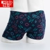 Đậu đỏ nam boxer cotton U lồi đồ lót cotton boxer eo cỡ lớn đồ lót 4 món quà xà cạp quần lót nữ cotton Bộ quà tặng