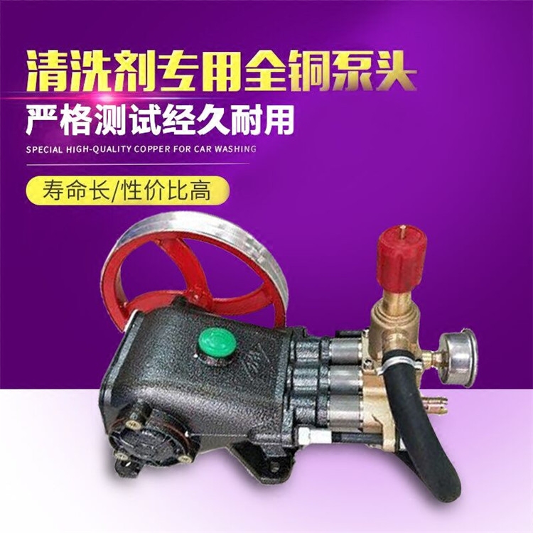 55 58 type high-power high-pressure cleaning machine farm Lifeng commercial car washing machine 220V all-copper water gun water pump