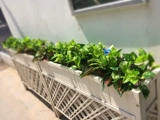 Новый продукт моделирование цветочной фальшиво -растительную стену