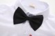 Quần áo biểu diễn ngày quốc khánh 2019 new boy áo sơ mi trắng tay dài cho trẻ em shop quần áo trẻ em đẹp Áo sơ mi