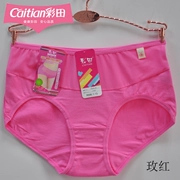Phong cách đơn giản Zhengcai Caiti thoải mái cotton co giãn giữa eo nữ boxer tóm tắt nữ 1103 hoa cổ tích