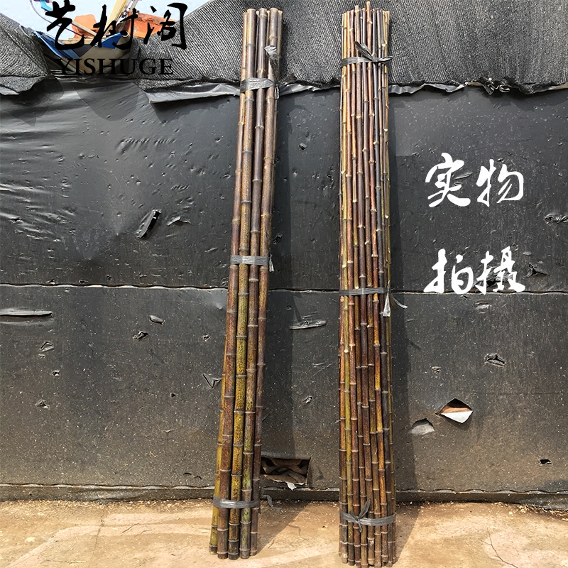 Zen Chinese decoration anti-corrosion purple bamboo bamboo pole decoration dry branch vase flower arrangement flower arrangement lobby decoration