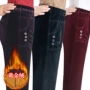 Quần nữ trung niên, mùa đông của phụ nữ, quần cashmere, mẹ trung niên, cộng với quần thun nhung co giãn co giãn những bộ đồ mặc nhà thanh lịch tuổi trung niên
