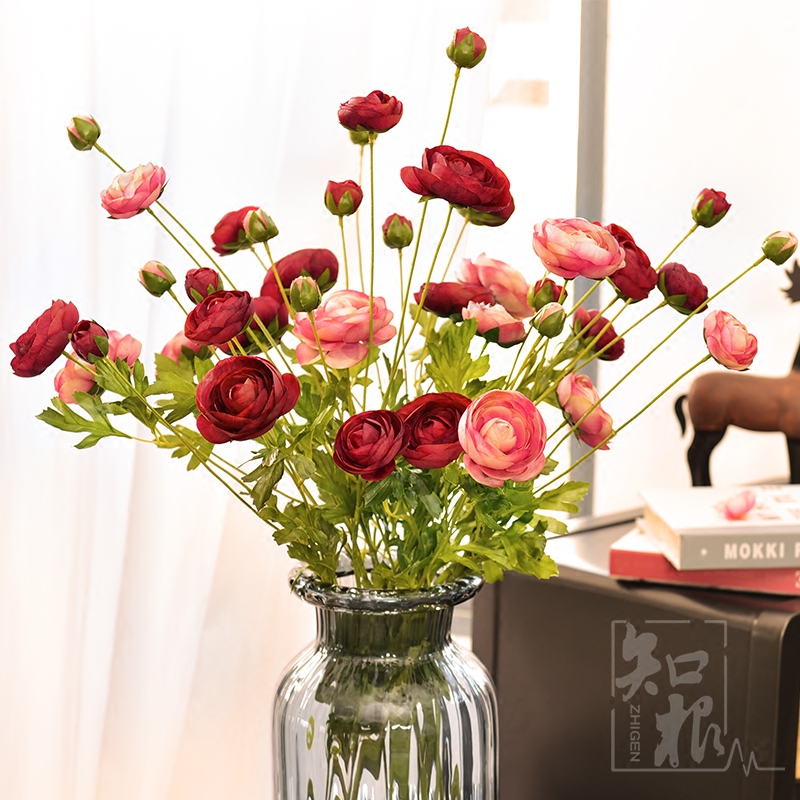 ֪��ŷʽ��԰�ٻ�LL-017