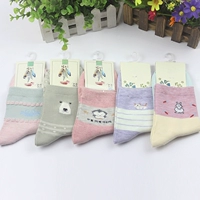 5 đôi tất nữ mùa thu và mùa đông trong vớ cotton ống Chất khử mùi hoạt hình dễ thương và vớ cotton ấm áp vớ