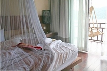 DREAM radiation shielding mosquito net and awning imported from the United States