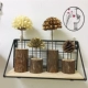 Caroline handmade hoa khô micro cảnh trang trí cảnh quan Giáng sinh hình nón thông đồ trang trí bằng gỗ pier DIY trang trí đồ trang trí cọc gỗ