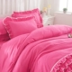 công chúa Hàn Quốc chải ren giường bedspread váy một gia đình bốn màu giường ren chăn che 1,5 / 1,84 bộ - Bộ đồ giường bốn mảnh