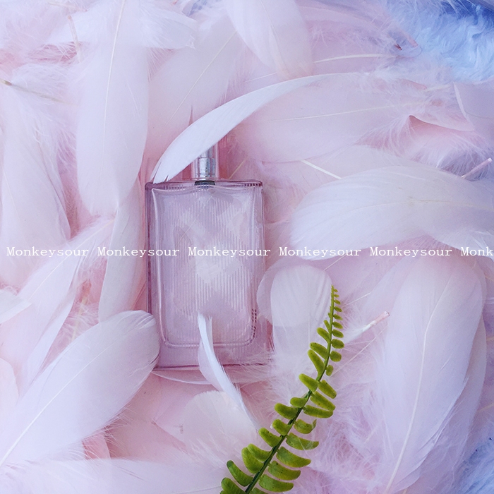 ins wind grey pink brown black colorful big root goose feather swing for photo props quietly swatching