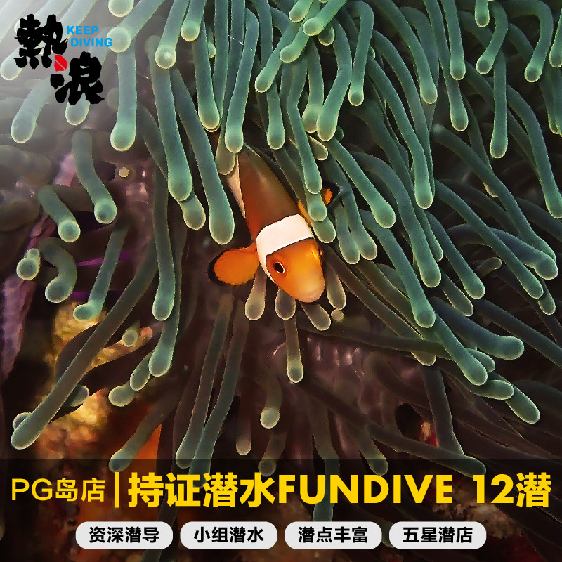 PG Island Dolphin Bay 12 Diving for diving in the Philippines PADI Five Star Submarina FD heatwave diving