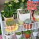 Cây hoa mọng nước đơn giản sàn phòng khách nhiều lớp di chuyển bằng sắt rèn cây hoa đứng ban công chậu hoa giá kệ - Kệ ke sach Kệ