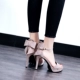 Mùa hè 2018 mới cực cao sandal cao gót đế xuồng không thấm nước đôi giày nữ hở ngón gợi cảm với khóa với châu Âu và châu Mỹ hoang dã