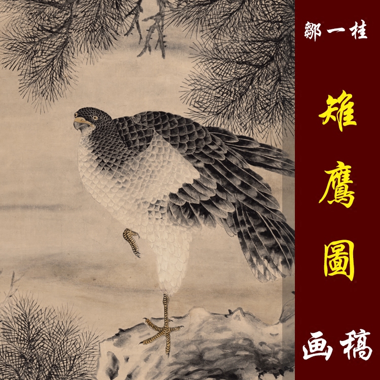 邹一桂雉鹰图高清国画花鸟临摹彩色画稿工笔花鸟松鹰图微