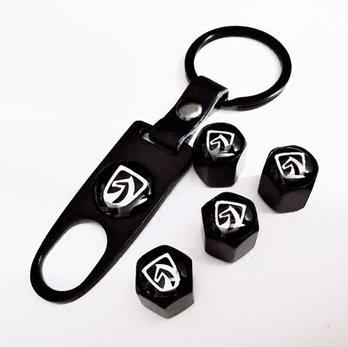 Applicable to Baojun 510 560 730 310 560 auto tire anti - theft valve mouth for general stainless steel