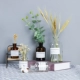 Bắc Âu nhỏ chai màu nâu nhà sáng tạo thủy canh container trong suốt bình thủy tinh trang trí bàn trang trí phòng khách trang trí nội thất Trang trí nội thất