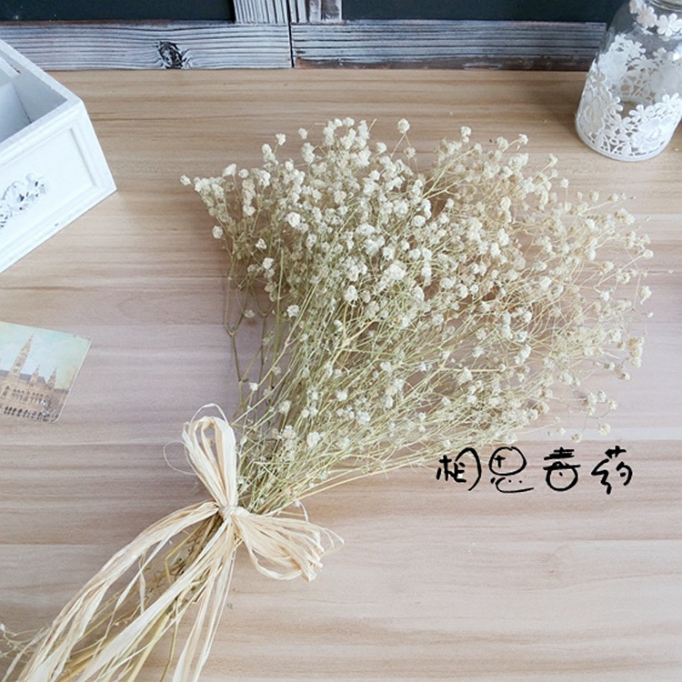 Starry natural dried flowers Real flower bouquet with vase set Living room desktop decoration flower arrangement photo background props