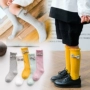 Quần tất nữ mùa xuân và mùa thu cotton mùa đông Phiên bản Hàn Quốc 1-3-5-7-9-12 tuổi tất thú cho bé