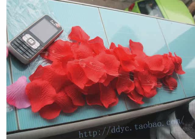 Bougie - Ref 2494159 Image 28