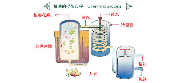 精油OEM,精油貼牌,精油加工