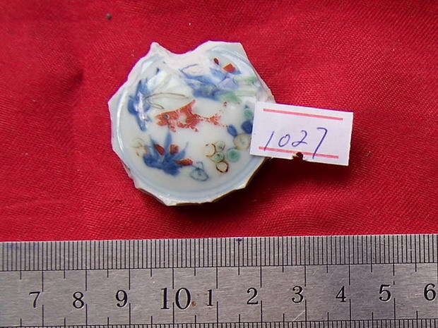 1027 Apocalypse Multicolored Fish and Algae Pattern Porcelain