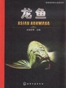 2897961|龙鱼