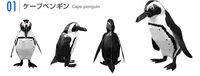 Full 68 manual Hướng dẫn mô hình giấy 3D Động vật sinh vật biển DIY Chim cánh cụt góc Nam Cực với mô tả giấy đồ chơi xếp hình bằng giấy