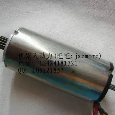 maxon hollow cup motor brushless motor EC max30 60 watts