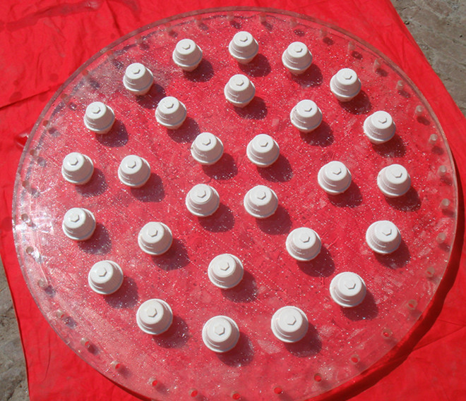 Organic glass sieve plate acrylic sieve plate ion exchange column acrylic exchange column sieve plate