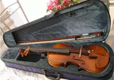European antique violin models are available
