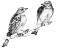 @Impression-Obsession EZ self-adhesive rubber stamp* stamp L7019 Bluebird