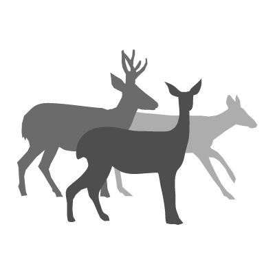 @PENNY BLACK WONDERFUL ANIMAL STAMP * SEAL: 3882K