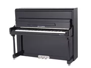 Pearl River Piano Phiên bản nâng cao Witten Series PD121H8 Black Shine Fashion Elegant Piano - dương cầm