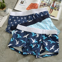 2 mảnh phim hoạt hình đồ lót nam thủy triều thể thao cotton boxer thanh niên cá tính cây dừa bốn góc đồ lót nam quần lót nam cho người cao tuổi