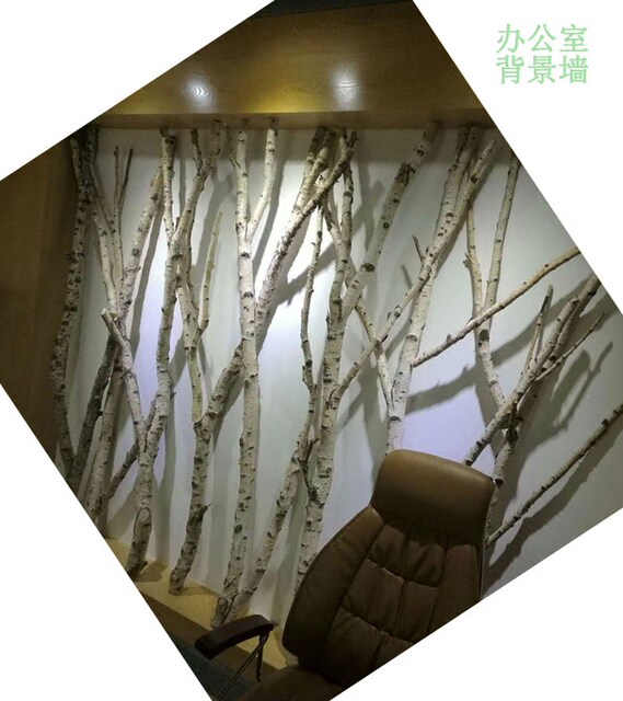 Natural White Birch Tree White Birch Tree Fork Dry Branches Dry