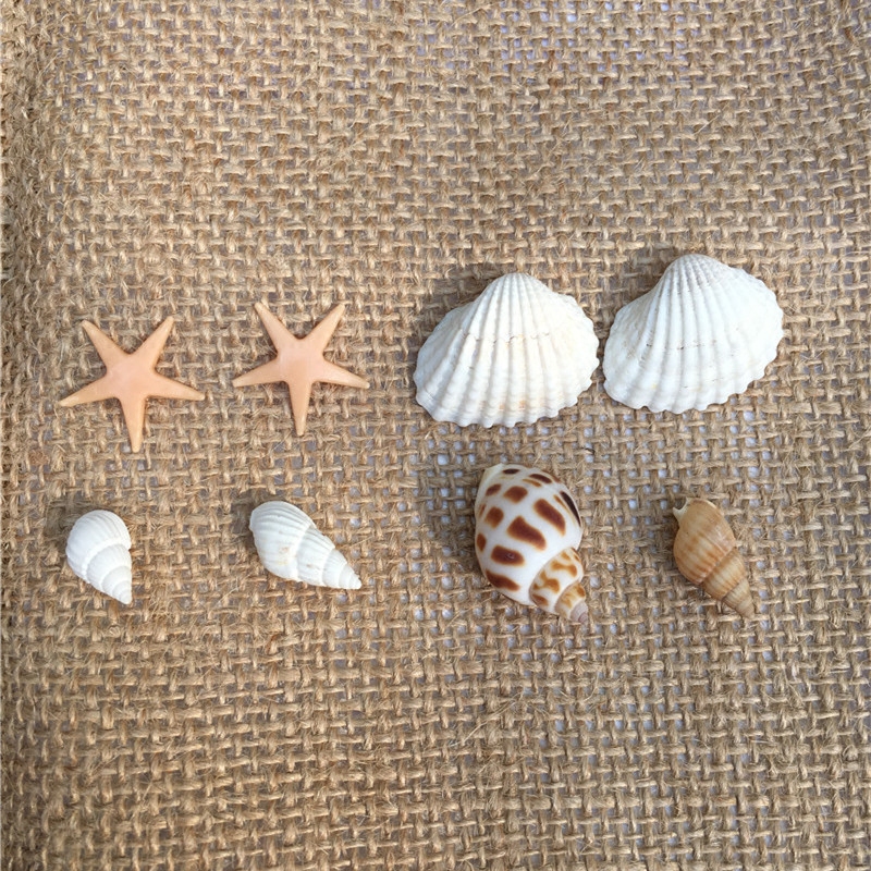 DIY Marine Bottle Rainbow Bottle Full Set Material Pack Small SeaStar Sea Snail Shells Rafting Bottle Star Cloud Bottle Small Tower