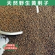 Vải sợ hạt vải Jingren Huang Jingzi số lượng lớn hạt giống Giang Giang sức khỏe Qing não ngủ gối gối phụ cát