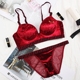 Velvet Velvet Little Devil Thêu Đồ lót Cô gái Ngực nhỏ Thu thập Sexy Không Thép Ring Comfort Bra Set thời trang nữ cao cấp Bộ đồ lót