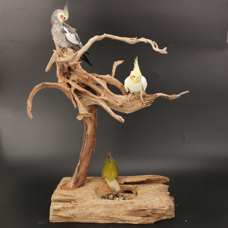 Manufacturer tree root brush frame solid wood parrot bird stand frame Xuanfeng peony branch large medium and small pole bird training platform
