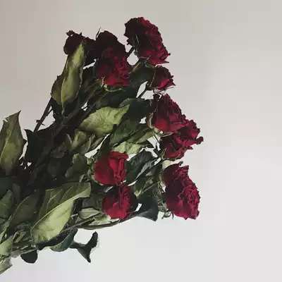 Dry flower bouquet multi head rose neon bubble rose flower ins decoration natural DIY flower decoration shooting props