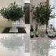 Mô phỏng 6 nhánh nhánh lá ô liu Hoa cưới trang trí hàng cây giả cành cây xanh Cây cắm hoa trang trí chụp prop - Trang trí nội thất cây trang trí trong nhà Trang trí nội thất