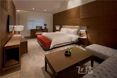 Chengdu Diaoyutai Boutique Hotel Tianfu Suite-King