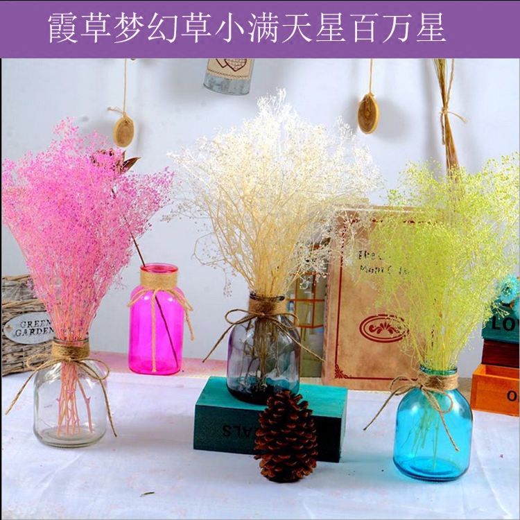 永生梦幻草天然干花小满天星艺术干花束百万星霞