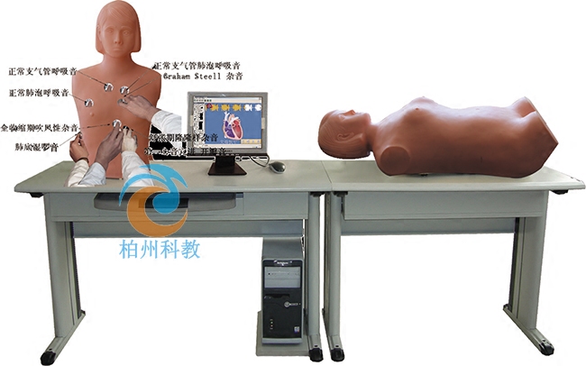 网络多媒体胸腹部检查综合教学系统模型心脏听诊触诊模拟人