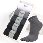 Vớ năm ngón vớ nam cotton ngắn ống mùa hè mỏng phần cotton thấm mồ hôi thấm hút ngón chân tất vớ nam vớ năm ngón