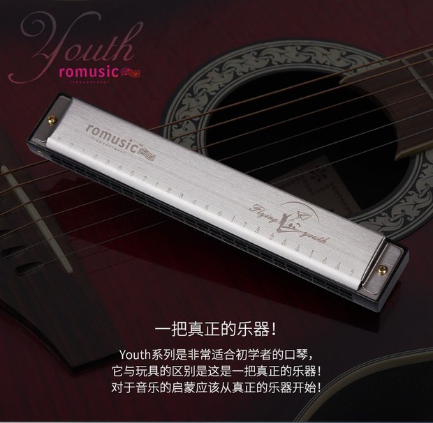 Romusic hòa tấu trẻ em người lớn mới bắt đầu đa âm 24 lỗ C giai điệu sinh viên nhạc cụ nhạc cụ bạc [gửi - Nhạc cụ phương Tây đàn nguyệt cầm